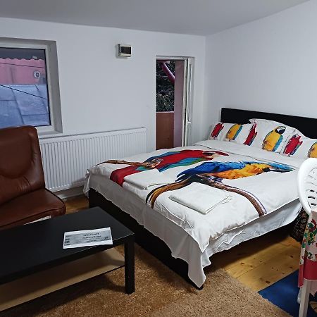 Sara 3 Dormitoare Nu Primesc Santieristi Si Petrecareti Villa Bukarest Exteriör bild