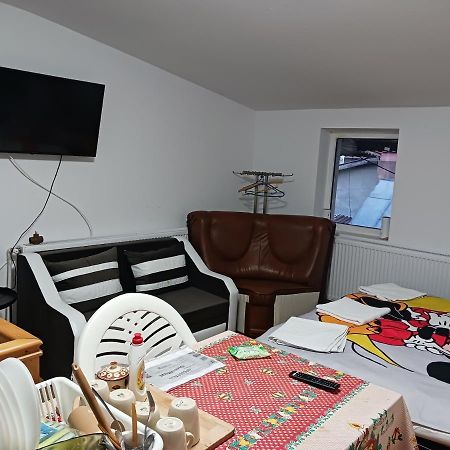 Sara 3 Dormitoare Nu Primesc Santieristi Si Petrecareti Villa Bukarest Exteriör bild