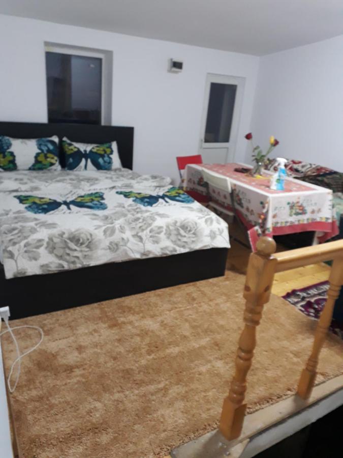 Sara 3 Dormitoare Nu Primesc Santieristi Si Petrecareti Villa Bukarest Exteriör bild