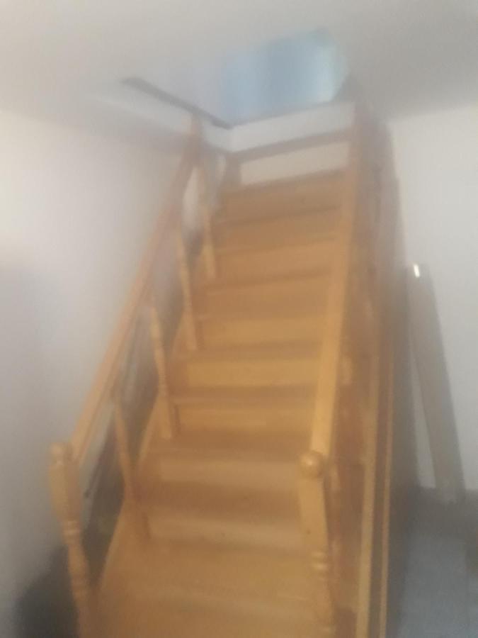 Sara 3 Dormitoare Nu Primesc Santieristi Si Petrecareti Villa Bukarest Exteriör bild
