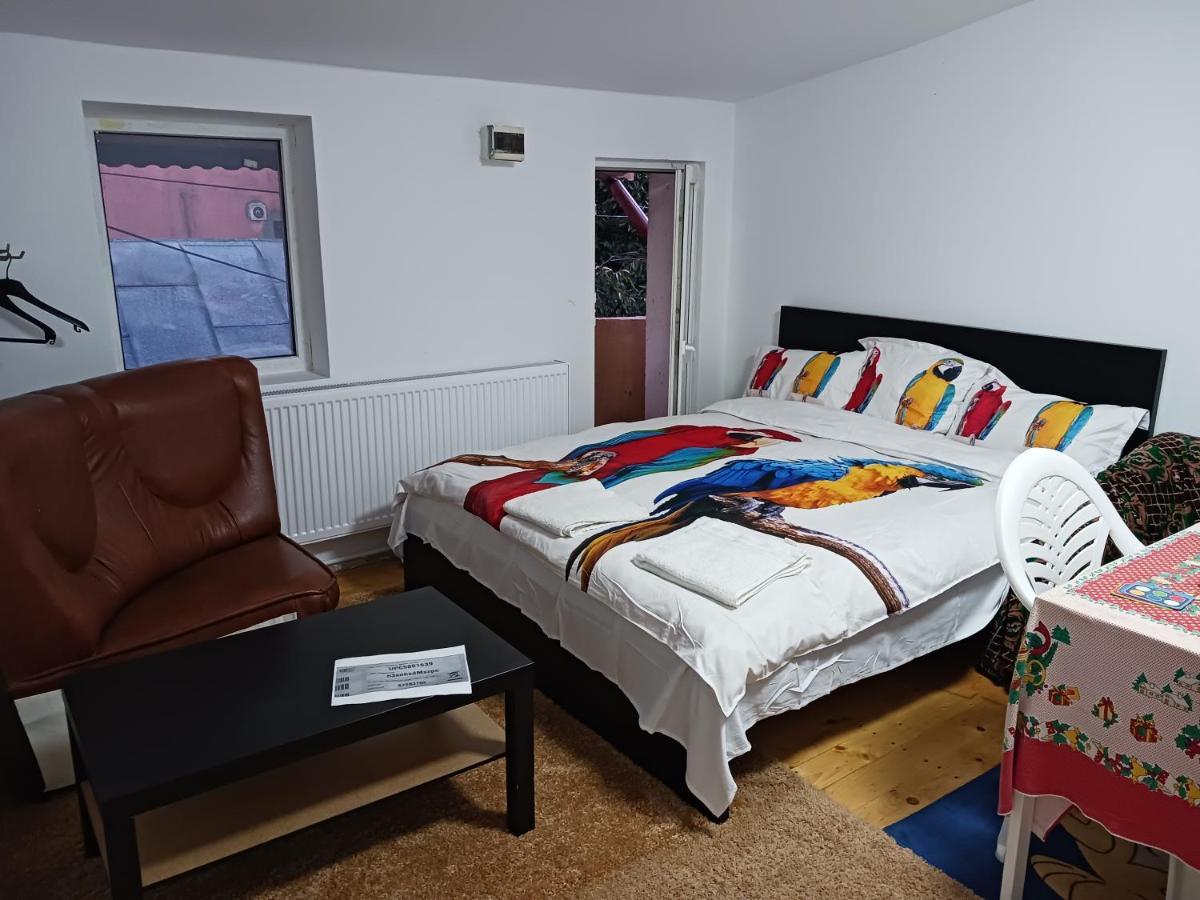 Sara 3 Dormitoare Nu Primesc Santieristi Si Petrecareti Villa Bukarest Exteriör bild