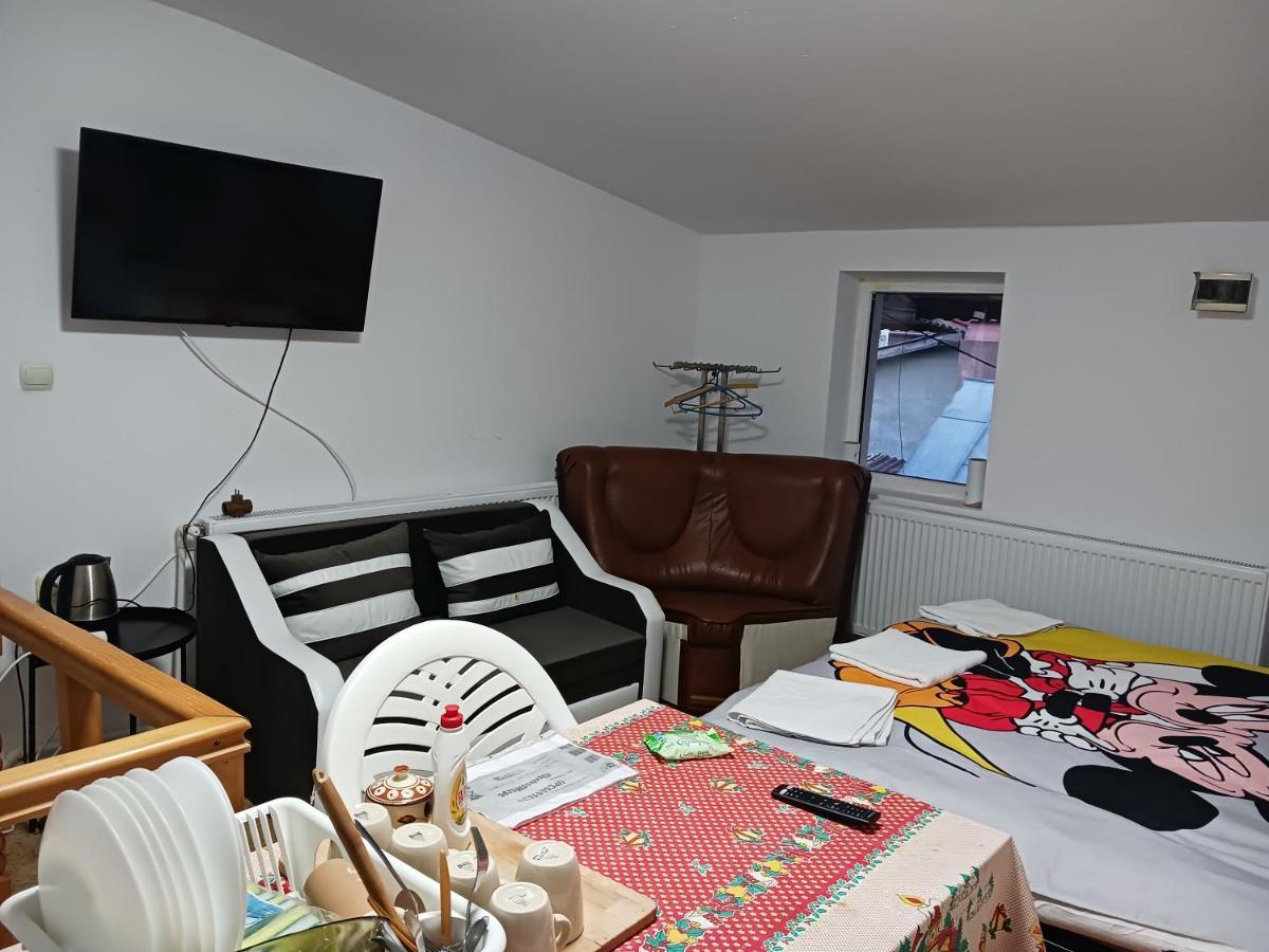 Sara 3 Dormitoare Nu Primesc Santieristi Si Petrecareti Villa Bukarest Exteriör bild