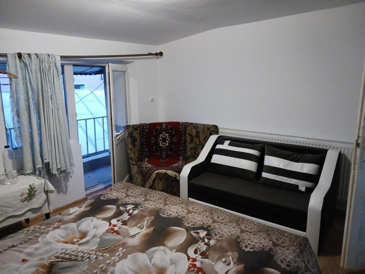 Sara 3 Dormitoare Nu Primesc Santieristi Si Petrecareti Villa Bukarest Exteriör bild